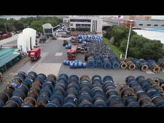 1.5mm SDI सिंगल कोर डबल आइसोलेटेड इलेक्ट्रिकल वायर 450/750V पीवीसी/पीवीसी (लाल/सफेद)